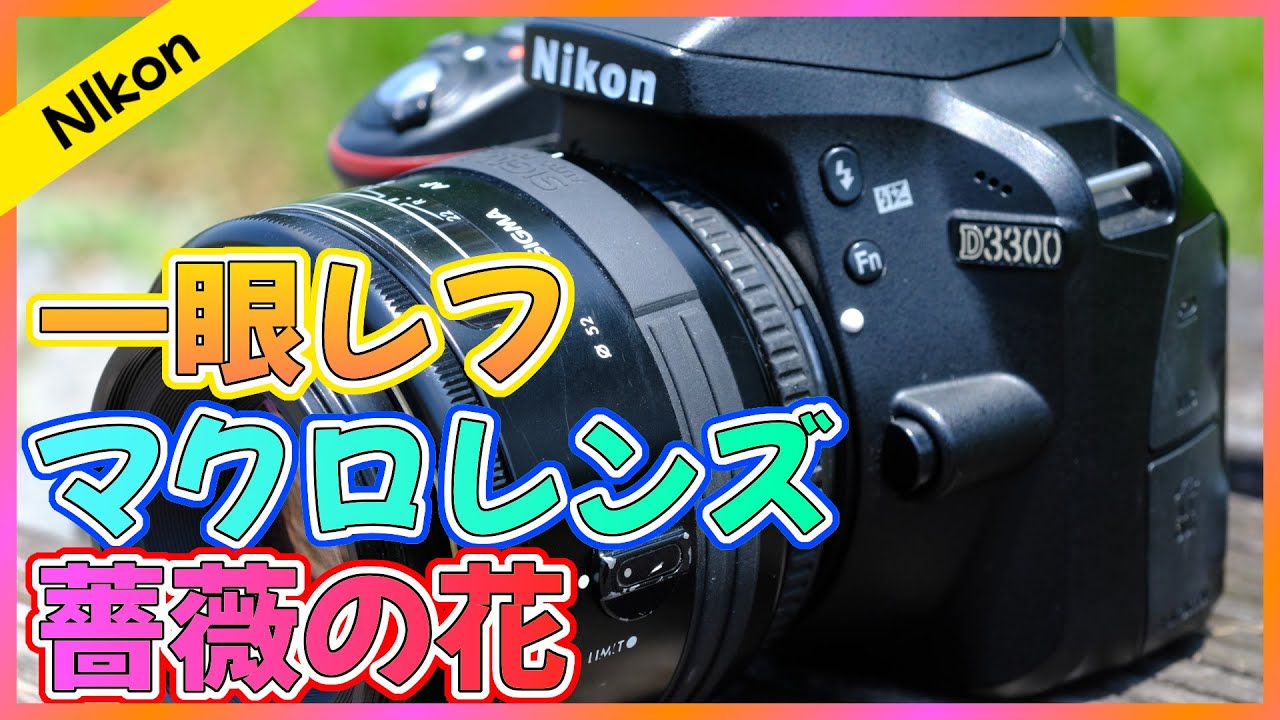 【Nikon】一眼レフでマクロレンズ撮影！マニュアルフォーカスは大変… | SIGMA 90mm F2.8 AF MACRO | Nikon D3300