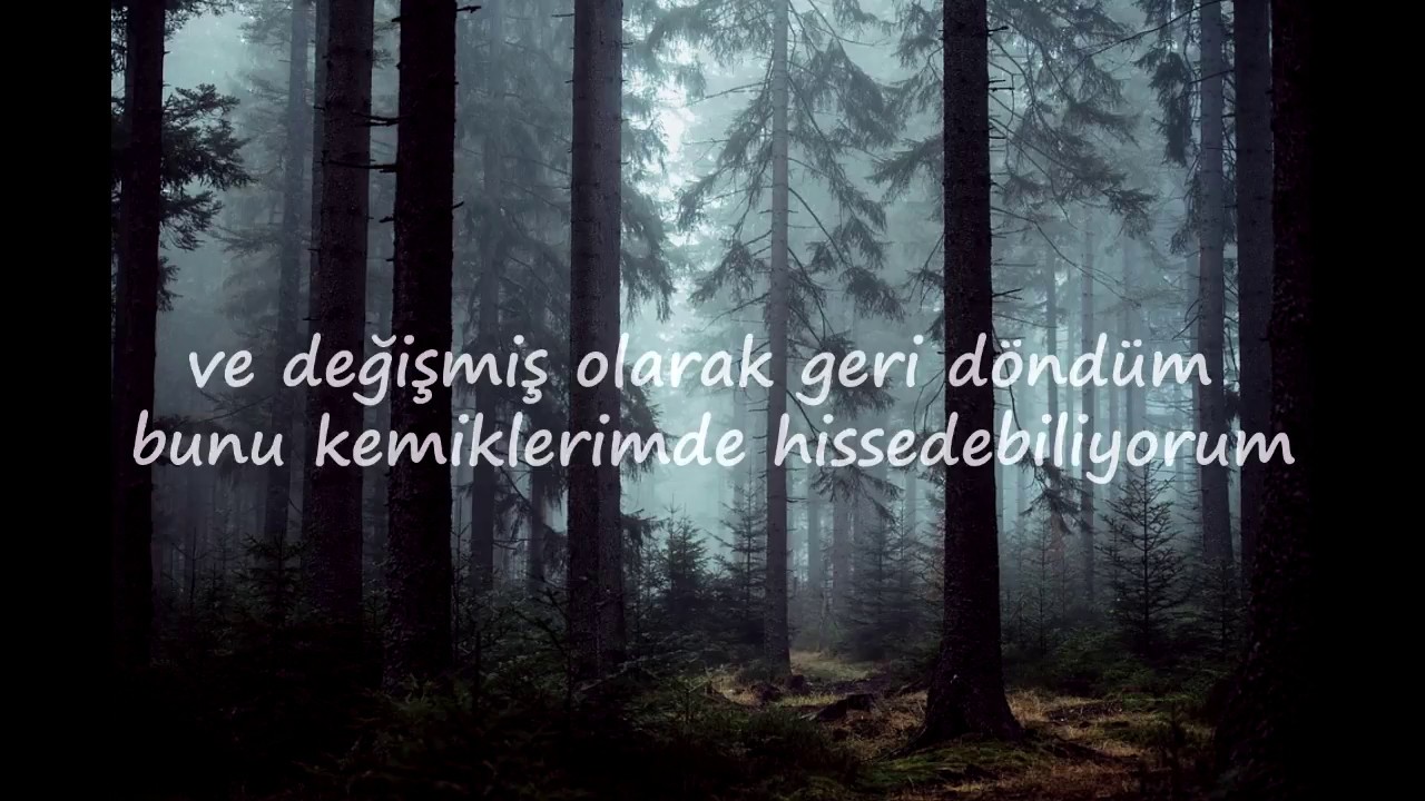 Lord Huron - Meet Me in the Woods (Türkçe Çeviri)