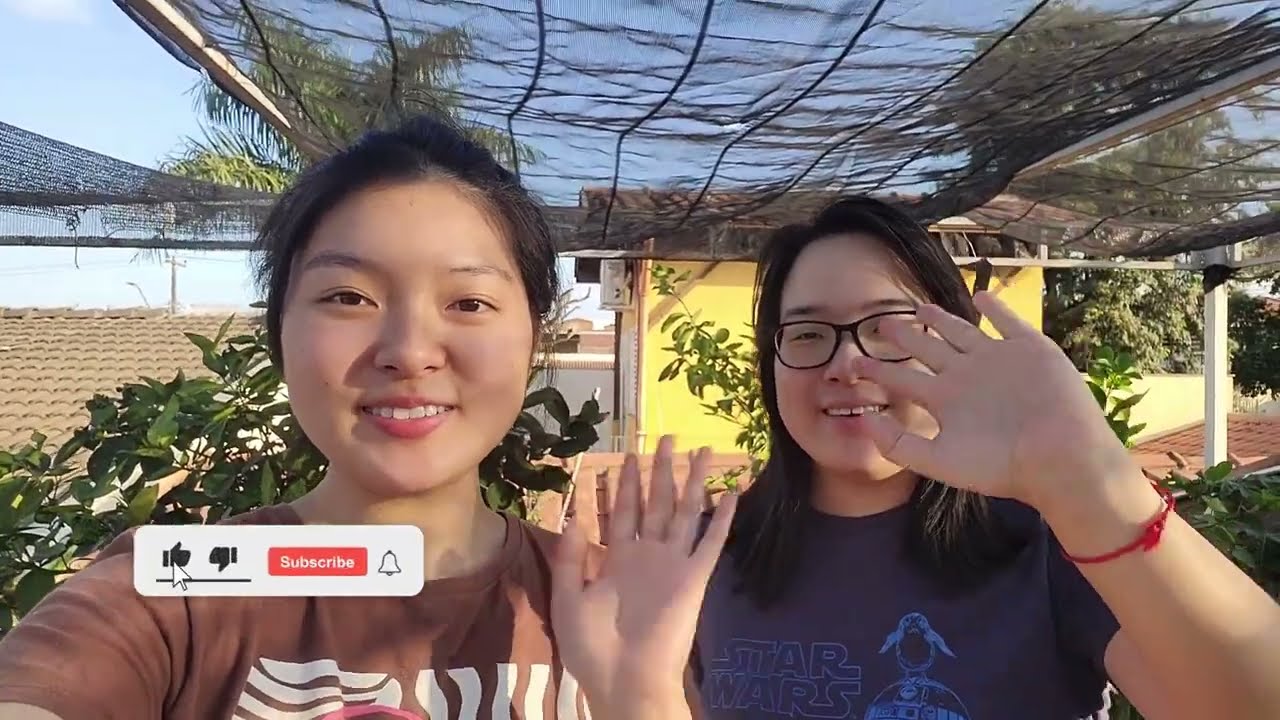 Mini Atualizações da Horta do Ditian!!