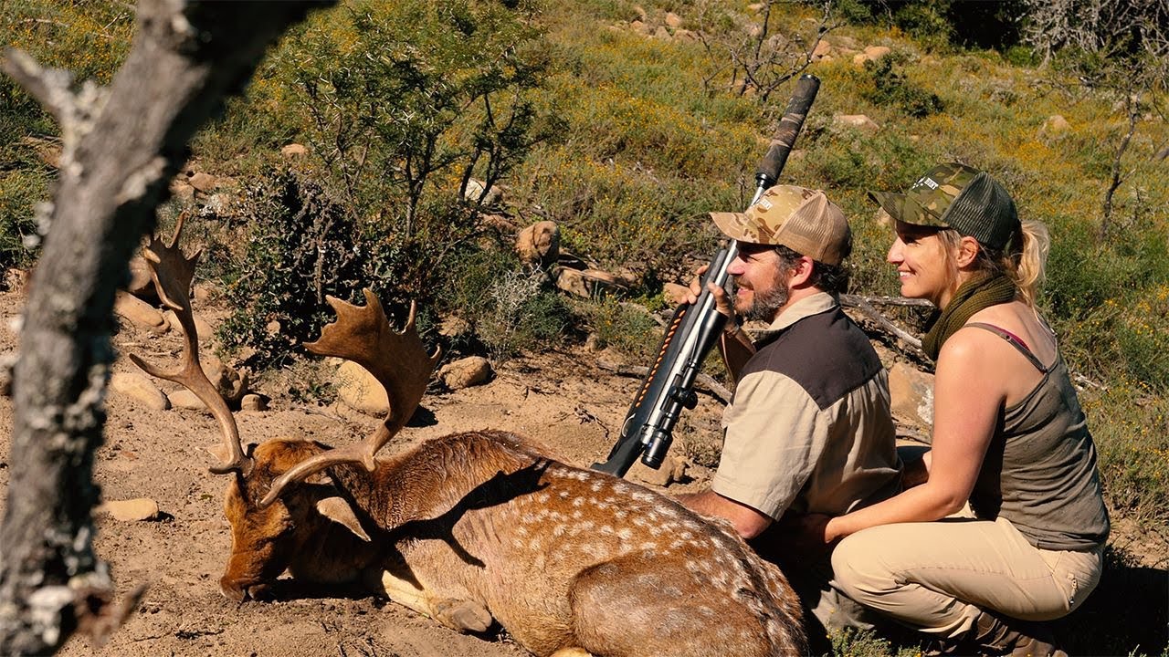 Fallow Deer et Orix chez Majeje Africa Safaris - Roadhunt Saison 4 - &Eacute;pisode 4