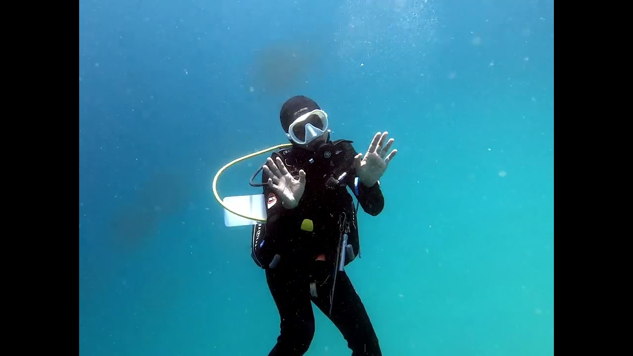 Bunaken Oasis with Granetes
