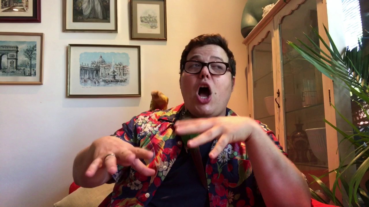 How to introduce two parrots to each other!