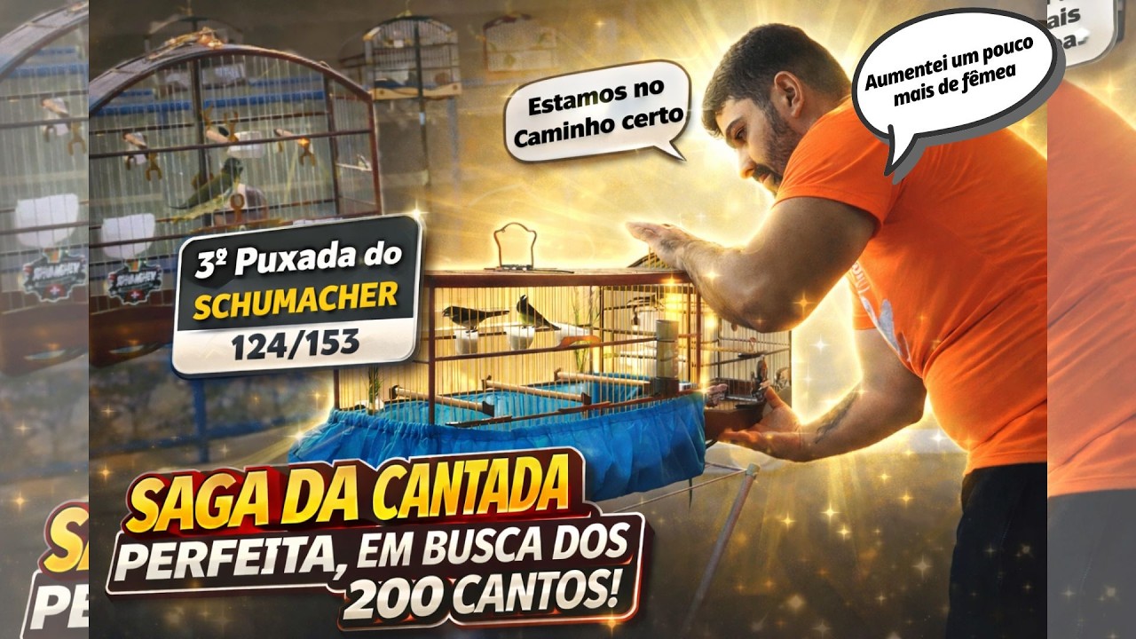 EM BUSCA DA CANTADA PERFEITA! MEXIDA DOS 200! FICAMOS NO QUASE...