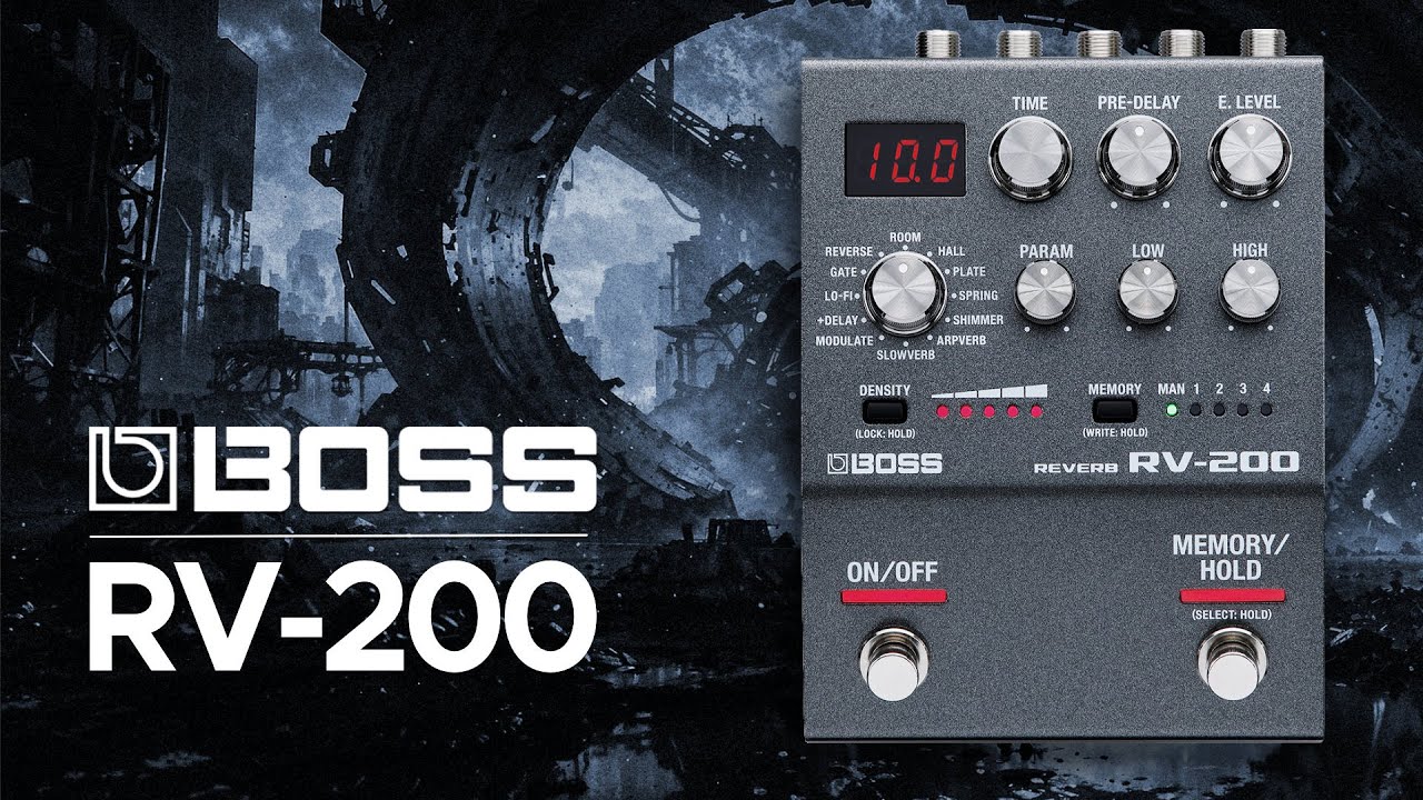 BOSS RV-200 Reverb Demo (no talking) with OB-6 Synth: A budget friendly reverb for live performer