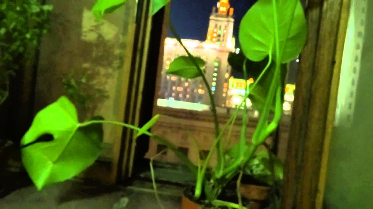 20130918 Пожар в МГУ