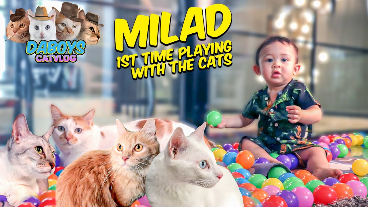 My SON First Time PLAYING With Our CATS!😻 *SURPRISE*