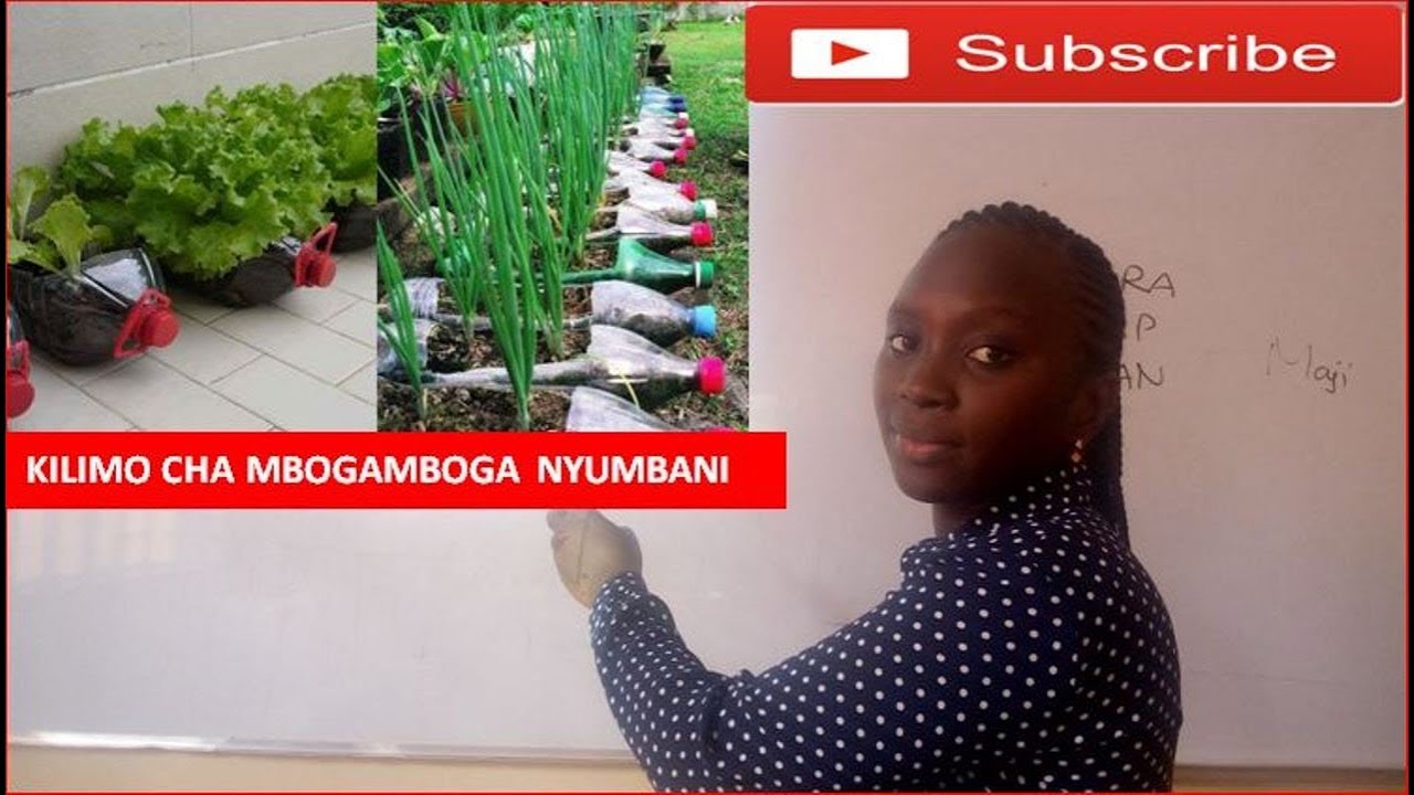 KILIMO CHA MBOGAMBOGA NYUMBANI KWENYE MAKOPO,MIFUKO NA VIROBA MIJINI pdf