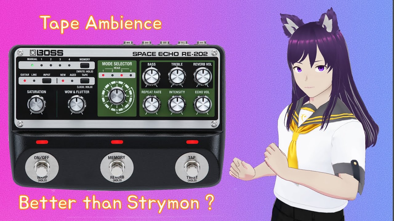 Boss re-202 better than Strymon ? Maybe ! (featuring Korg Multi/Poly)