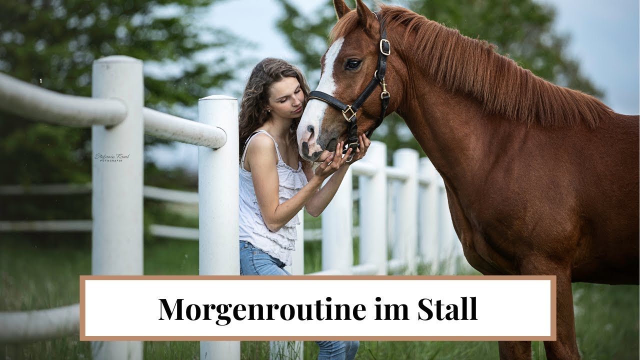 FMA - Morgenroutine am Stall - Samstagmorgen | LILGRO