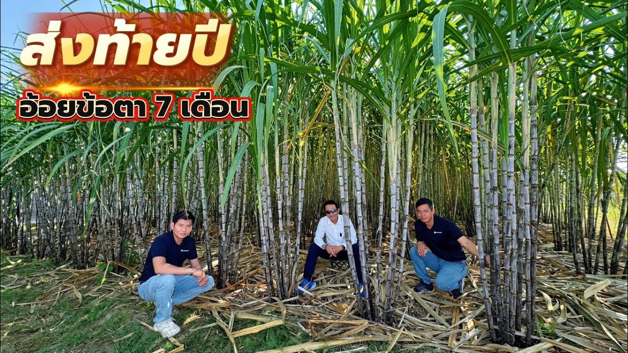 🔴LIVEสด! ส่งท้ายปีเก่า 2568💚 จากใจผู้จัดการมัน 