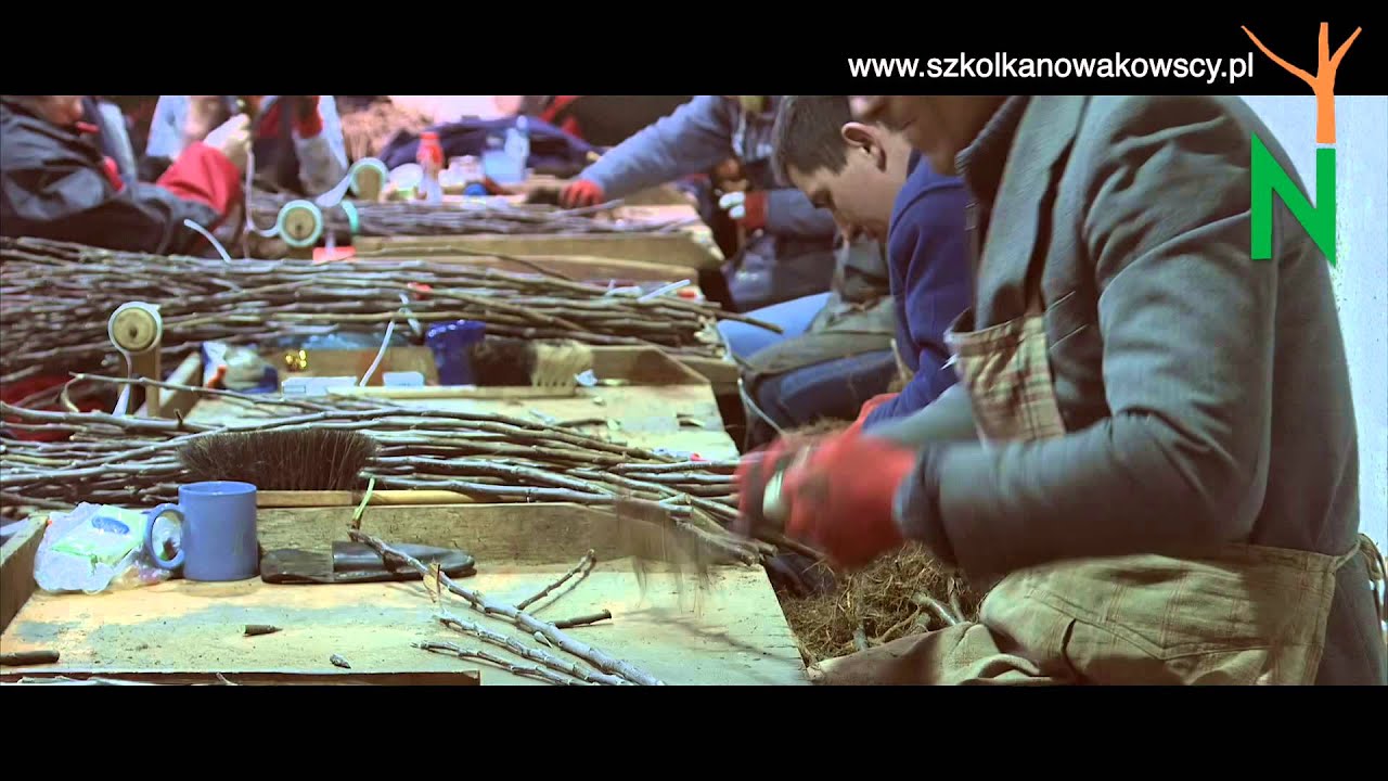 Zimowe prace w szkółce. (In the wintertime, work does not stop in the nursery)
