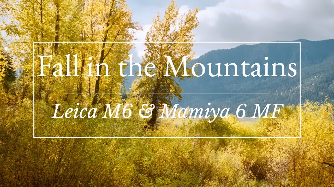 Fall in the Mountains | Leica M6 & Mamiya 6 MF film cameras