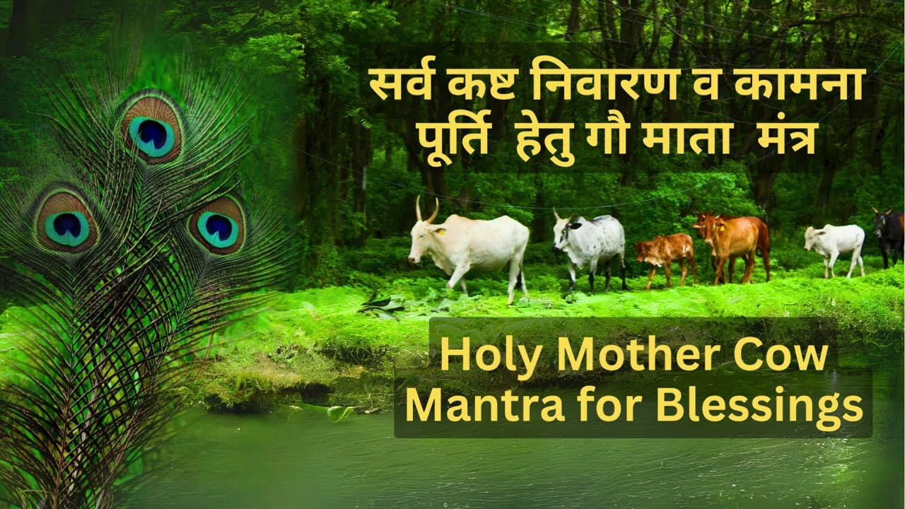 Gau Mata mantra for blessings | गौ माता मंत्र | Jay Gau Mata #krishna #bhakti #devotion #ram