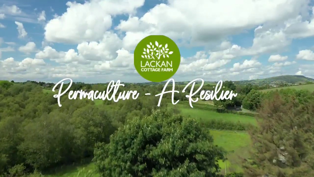 A taste of Lackan Cottage Farm