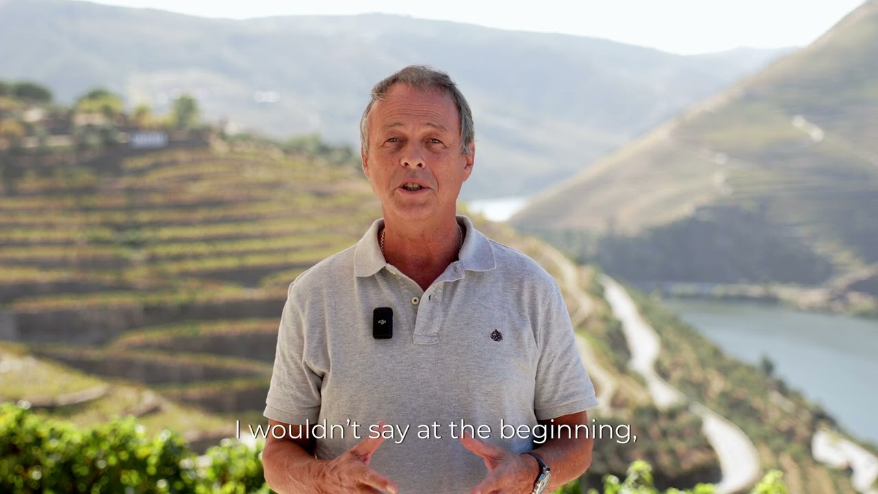 Harvest at Quinta do Seixo - 2024