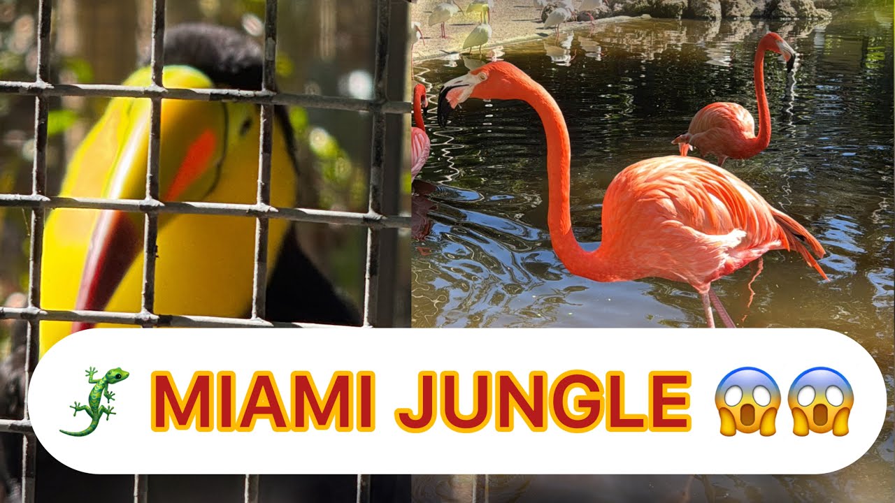 This Doesn’t Look Like Miami… But It Is 🌴