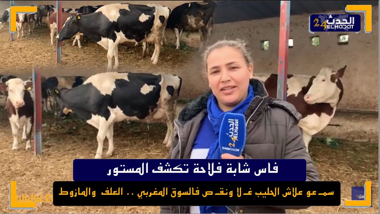 فاس شابة فلاحة تكشف المستور سمـ عو علاش الحليب غـ لا ونقـ ص فالسوق المغربي .. العلف  والمازوط