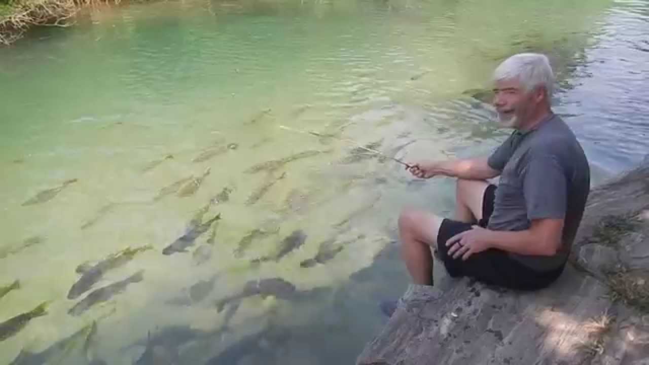 'Fishing' for piraputanga in Bonito Brazil