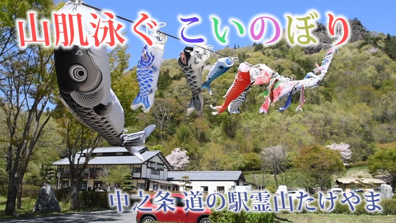 ★こいのぼり★空高く！！中之条・道の駅で２年ぶり