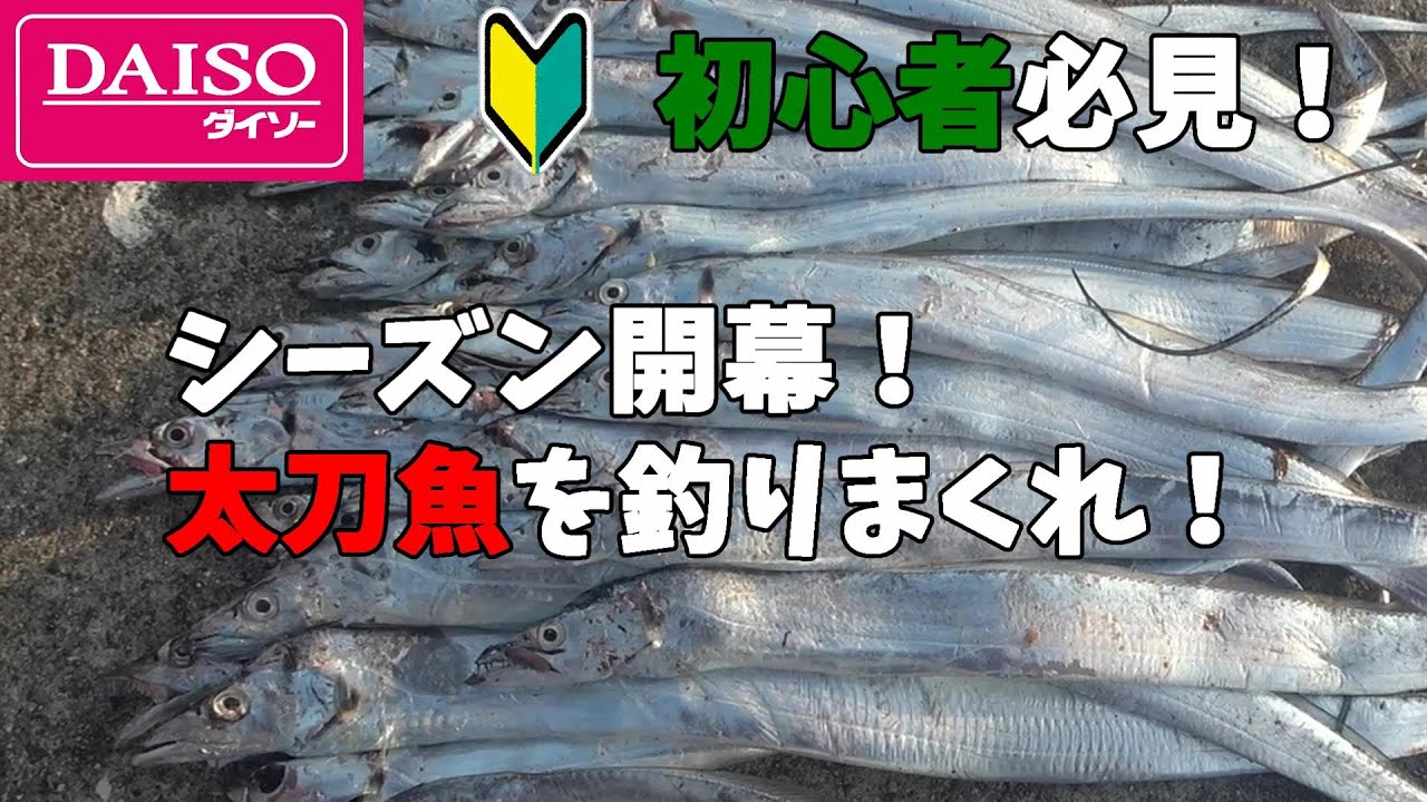 【脅威のダイソー釣り具】太刀魚を釣りまくる方法を教えます。