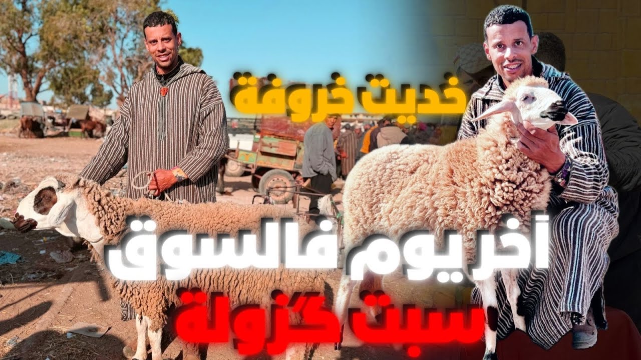 آخر يوم في الرحبة درويش ليه الله🥹 خديت خروفة