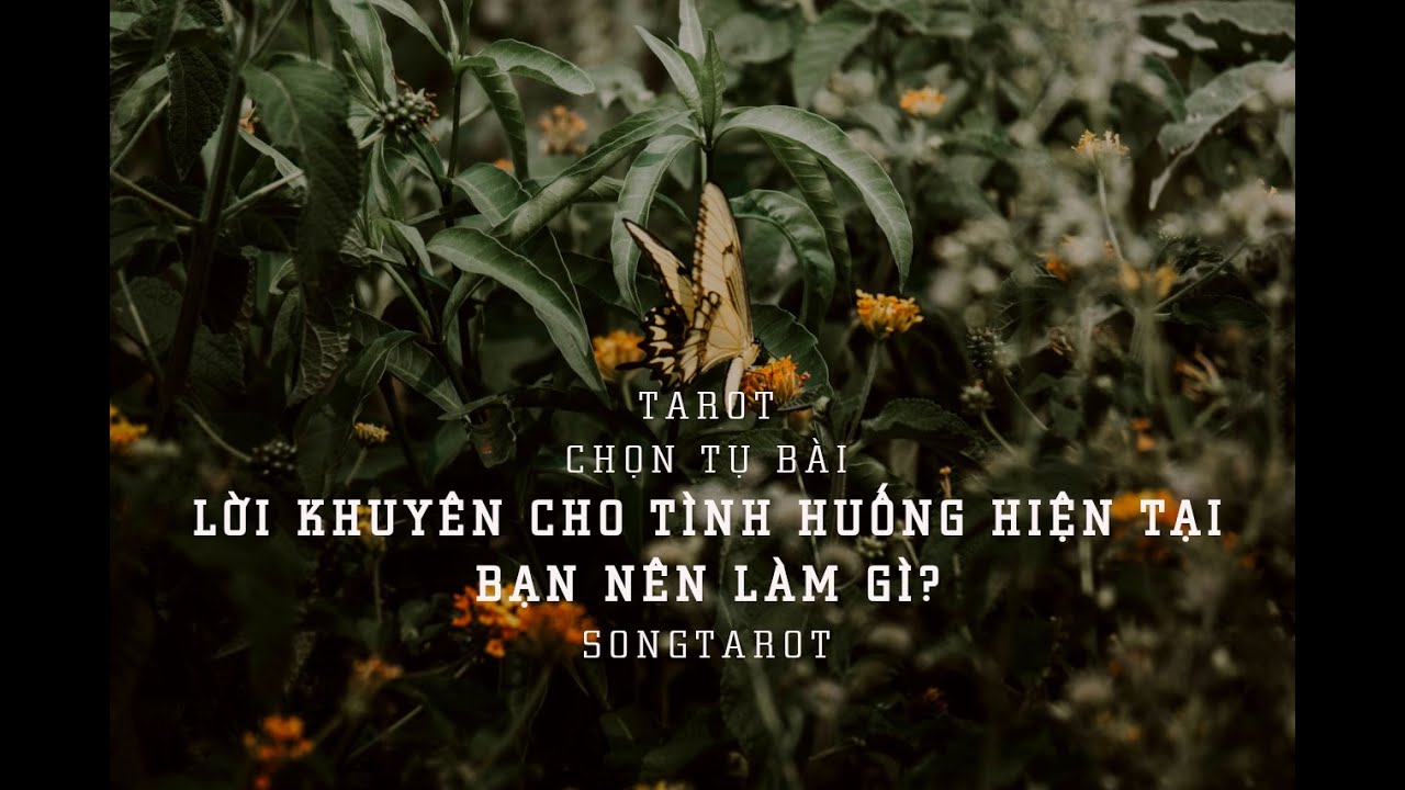 tarot: chọn tụ bài: lời khuyên cho tình huống hiện tại. Bạn nên làm gì?