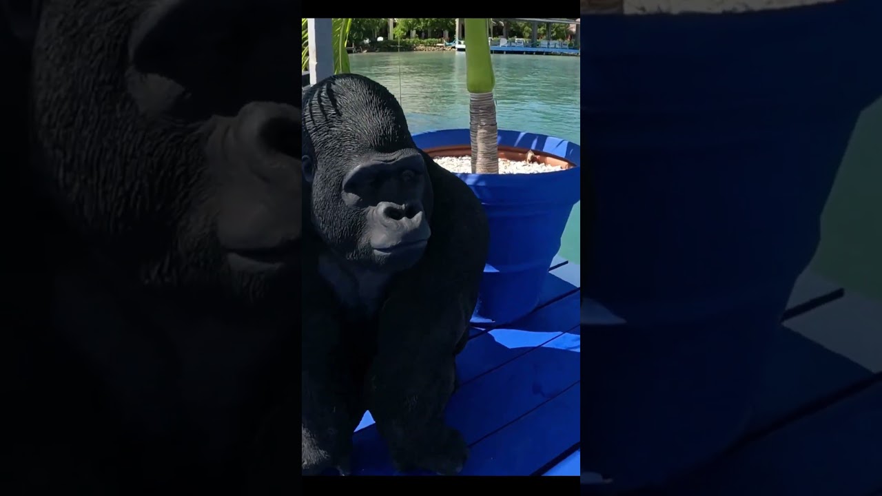 Isla Palma en el Archipielago de San Bernardo | Franklinguia
