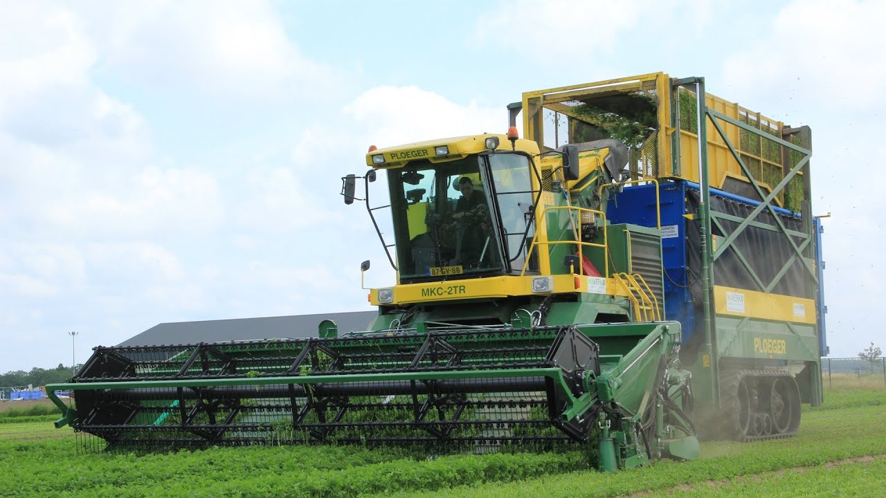 **BIG Ploeger MKC-2TR in Action with 6,5 Meters harvesting parsley On Tracks!