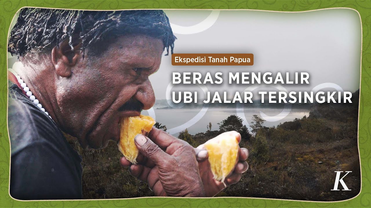 Mengenal Hipere, Makanan Masyarakat Dataran Tinggi Papua