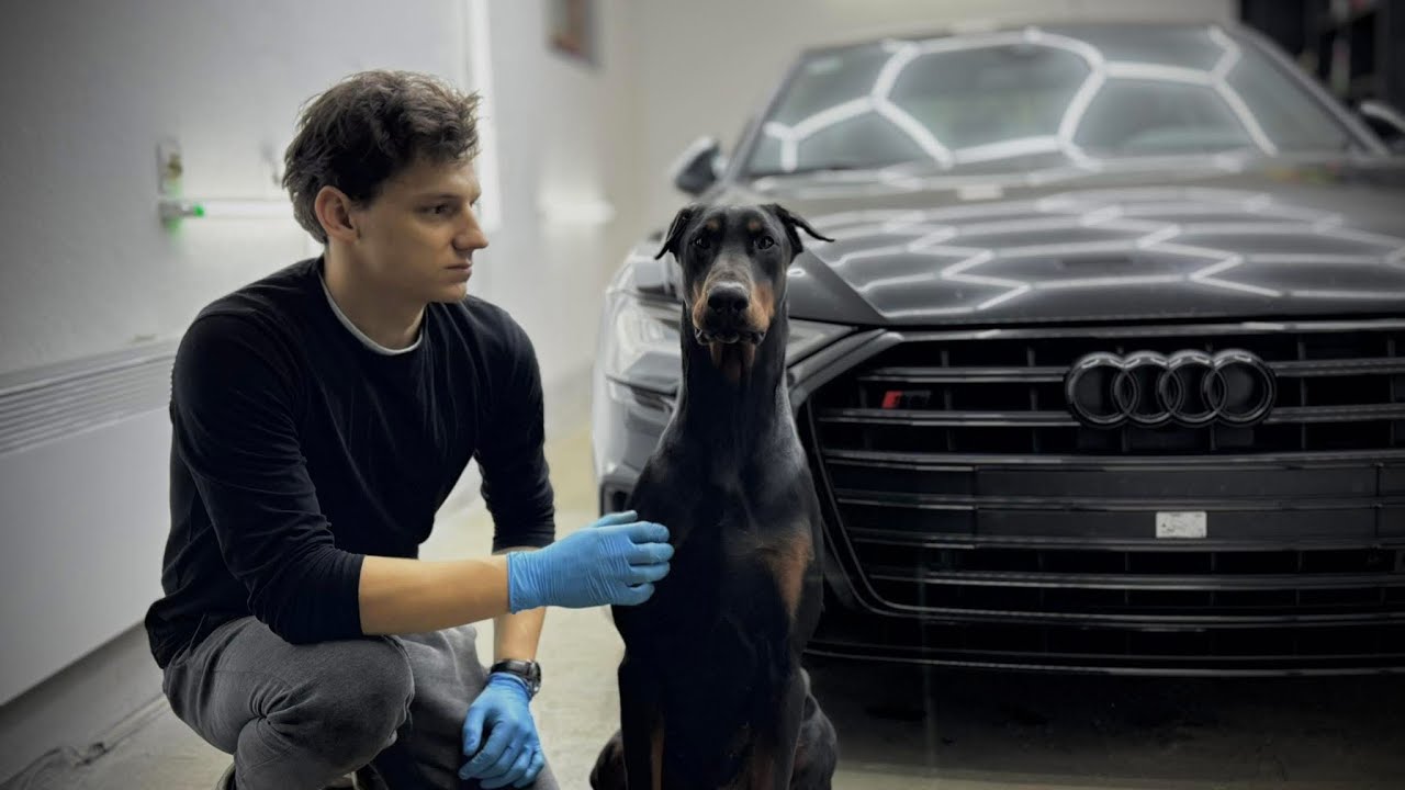 AUDI S6 TRANSFORMATION! Interior Detailing, Polishing & Ceramic Coating