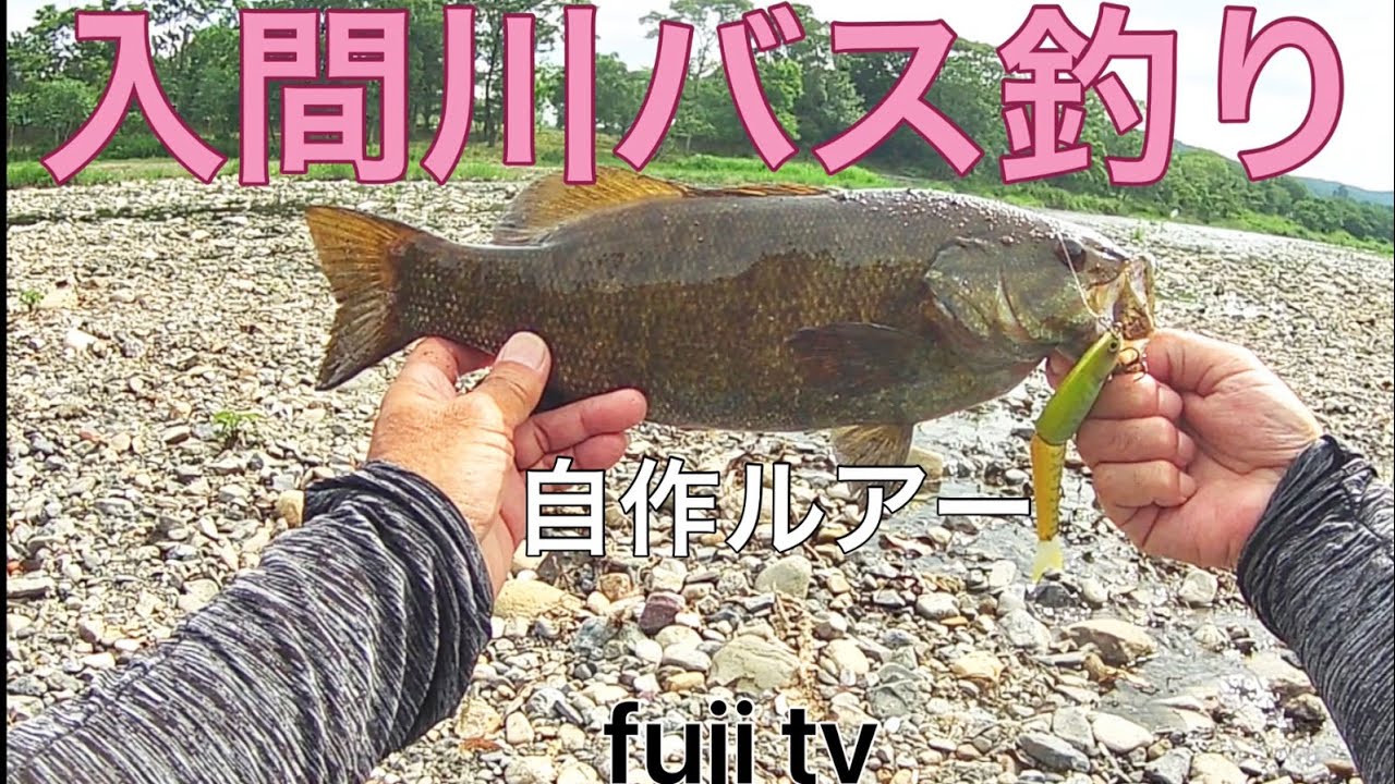 [入間川バス釣り]梅雨入り間近！激流スモールを狙え‼️