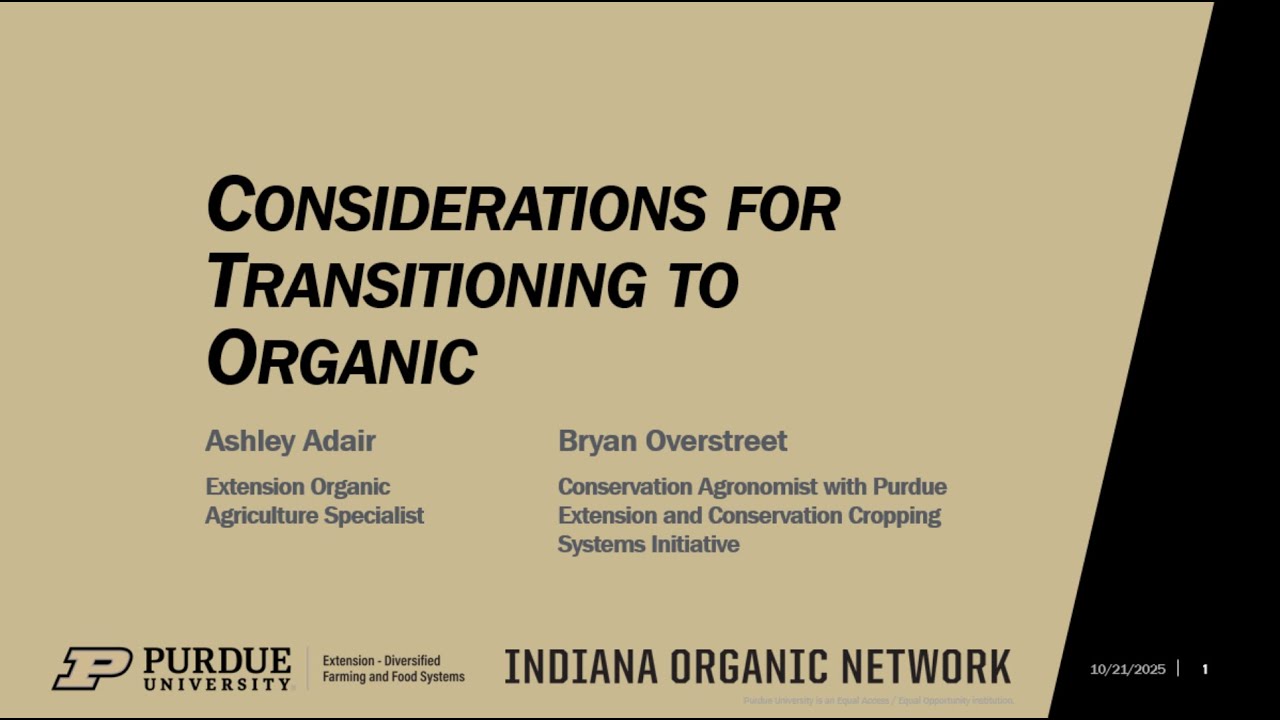 Organic Transition for Grain Crops