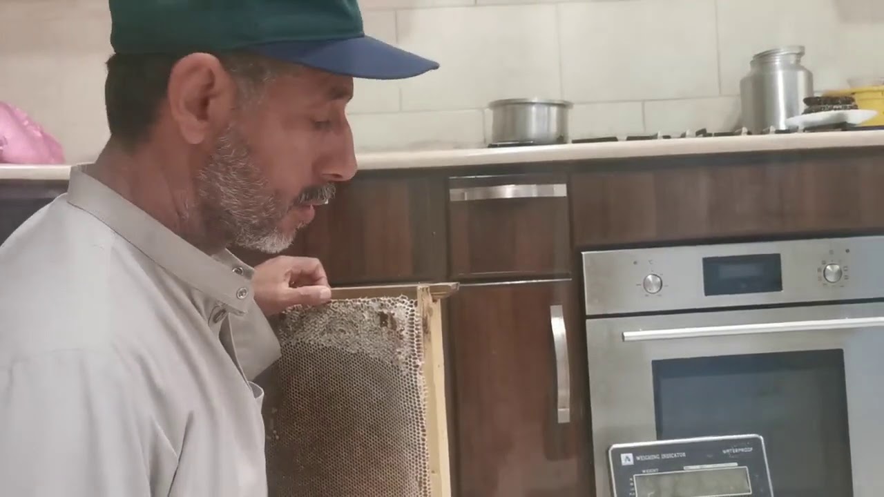 الفيلق 5