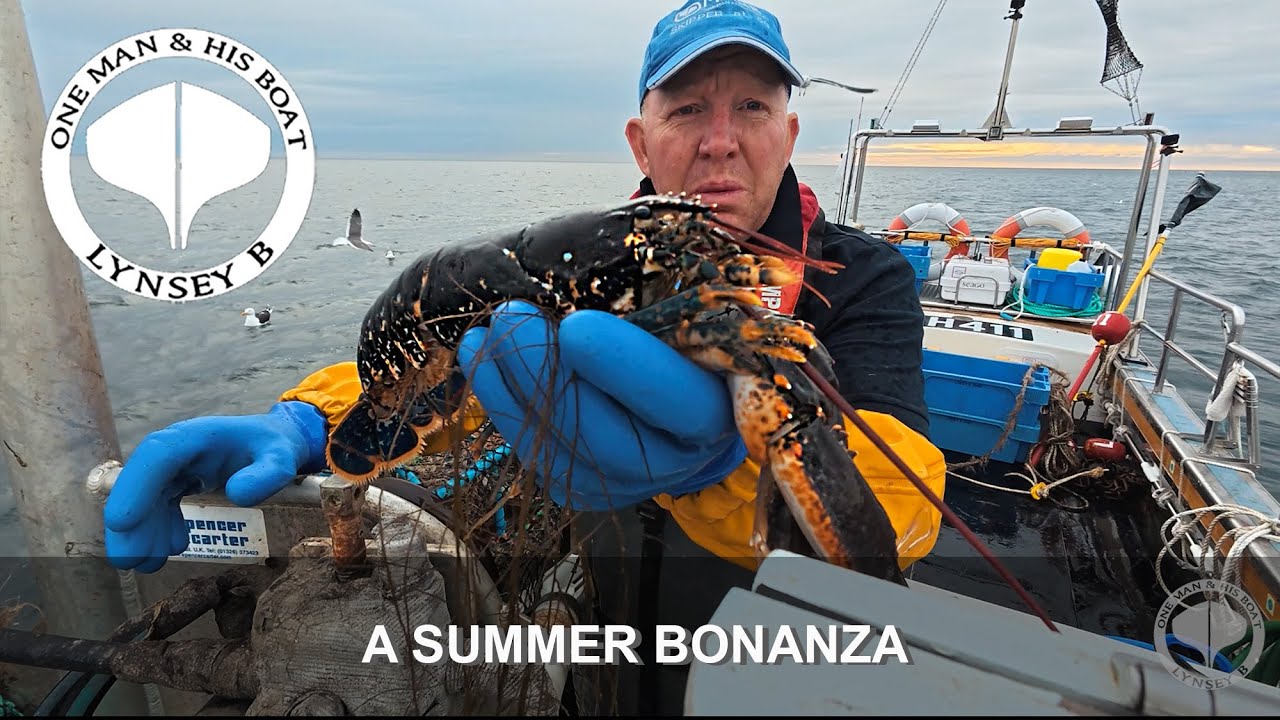 A Summer Bonanza