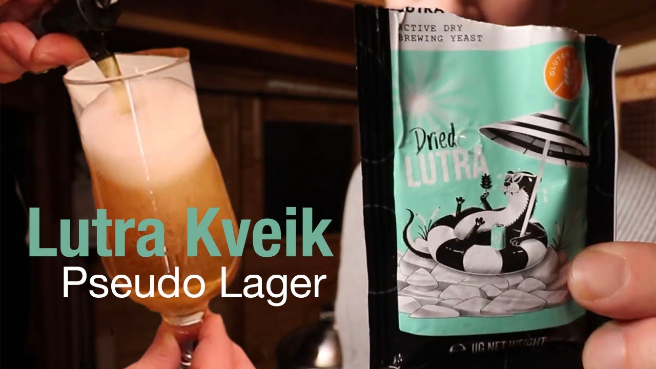 Lutra Kveik Pseudo Lager - Brewing along with The Malt Miller