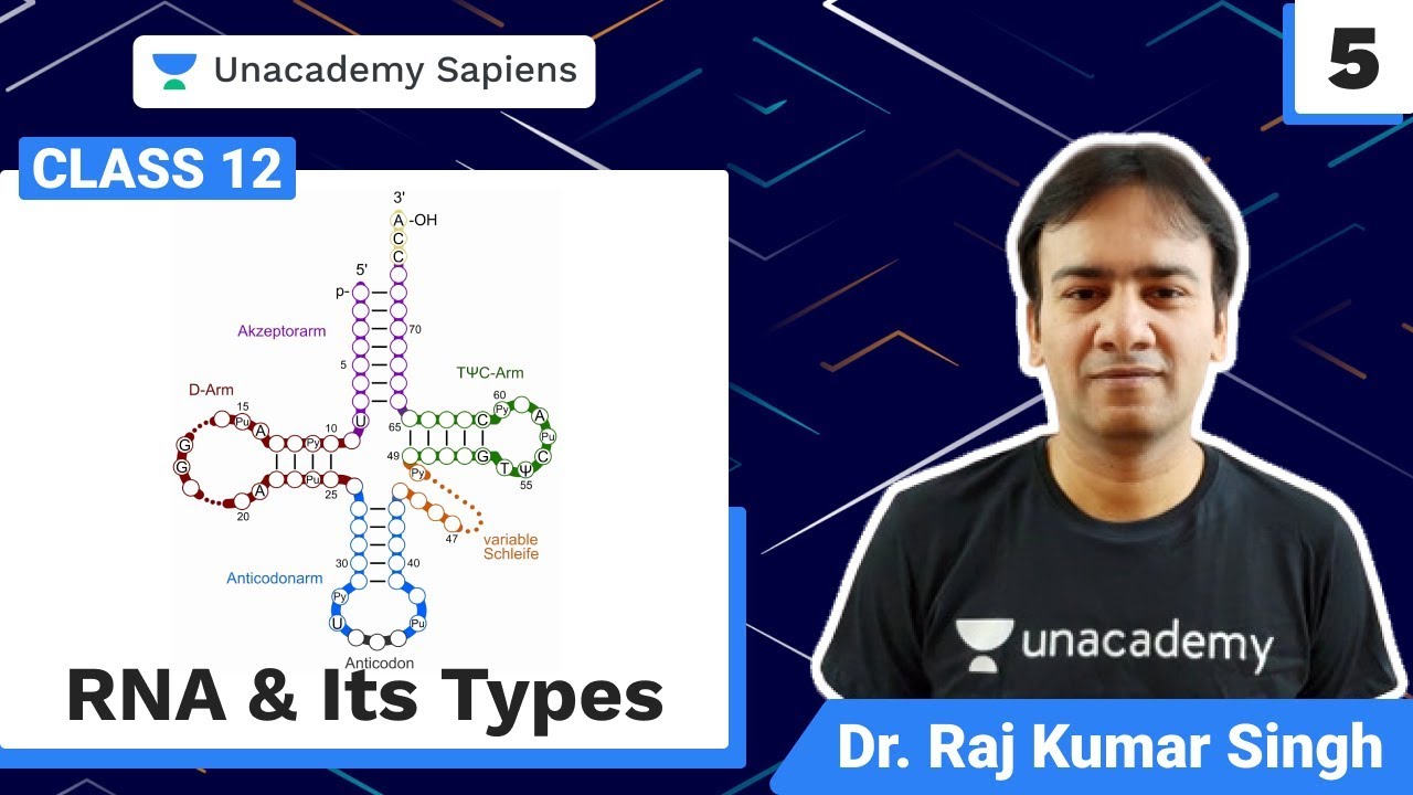 RNA & Its Types L 5 | Operation NEET 2021 | Biology | Class 12 | Dr RK Sir