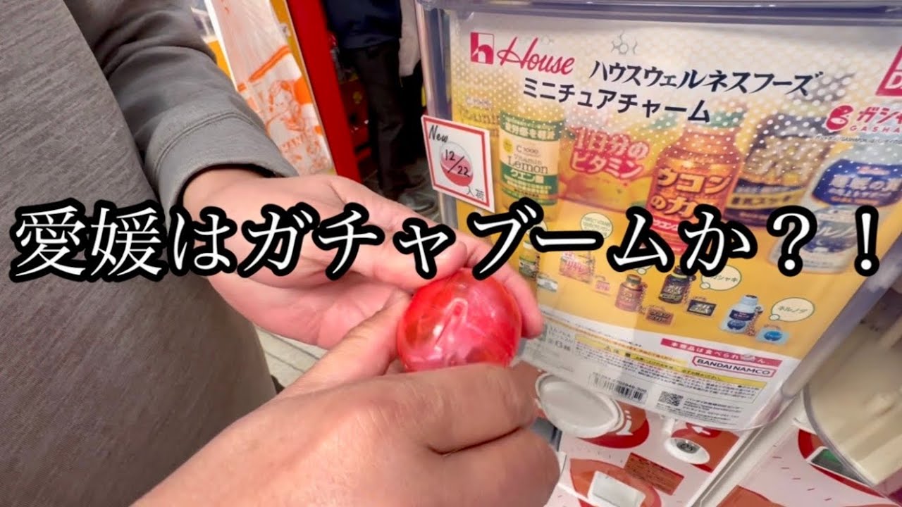 【ガチャ活】ガチャガチャ29連！クレーンゲームから始まるin愛媛