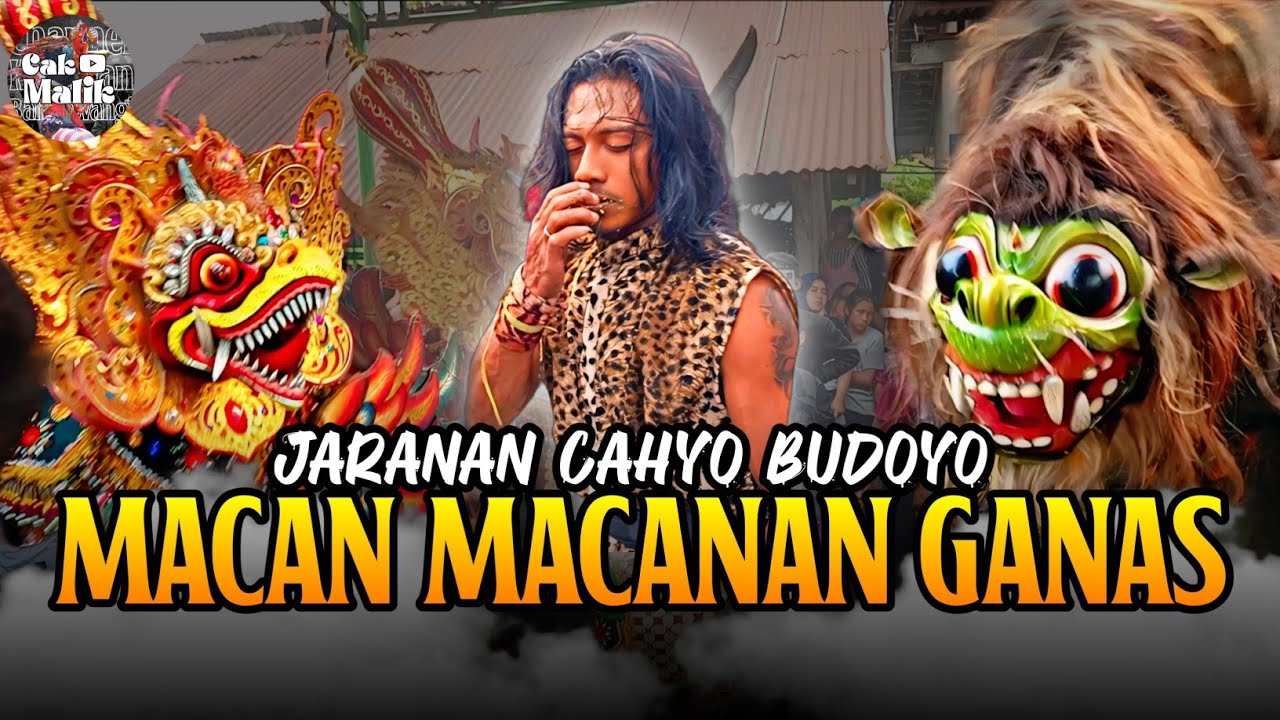 Kalangan penonton padat!!Suprat mengganas!! Macan macanan Cahyo Budoyo live Kampung ujung Banyuwangi