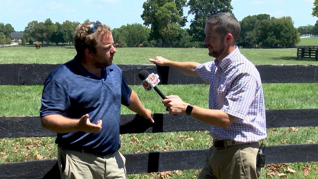 Hallway Feeds Chats with Broodmare Manager Luke Sullivan