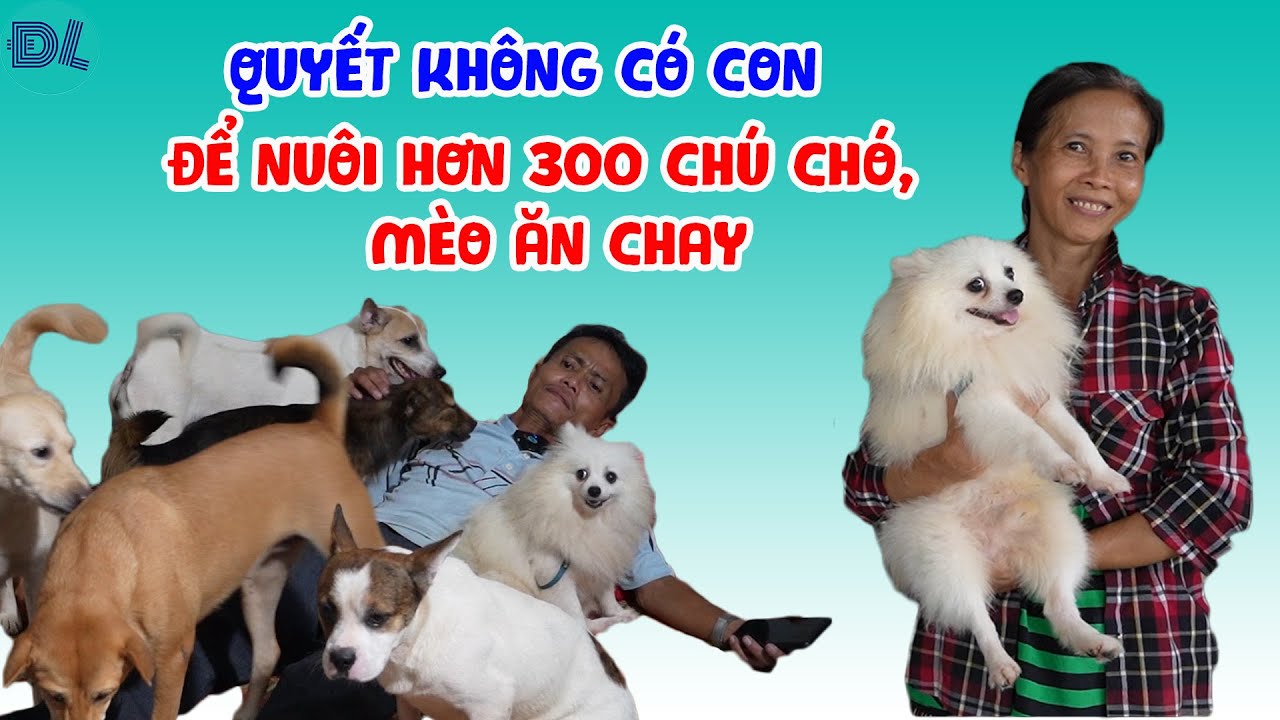 Hai vợ chồng quyết định không có con để dành sức nuôi hàng trăm con chó ăn chay - ĐỘC LẠ BÌNH DƯƠNG