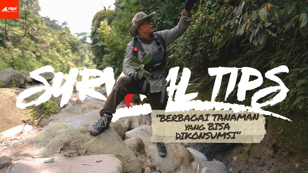 SURVIVAL TIPS - Berbagai Tanaman yang Bisa Dikonsumsi