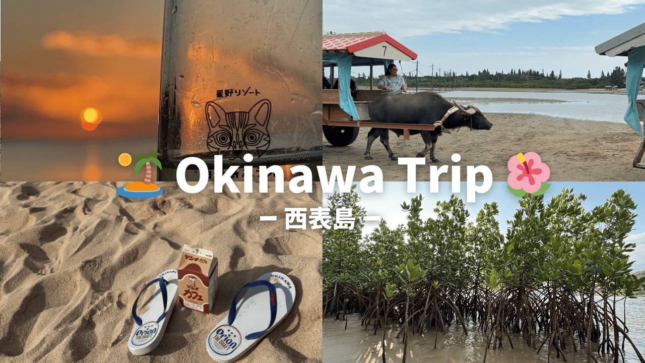 【旅行vlog】沖縄旅行🌺 in西表島🏝️
