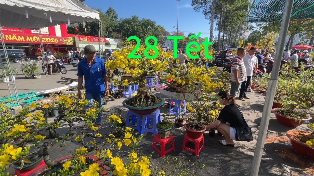 Весенний цветочный рынок, площадь Донг Най, 28-й день лунного Нового года, памятное мероприятие.