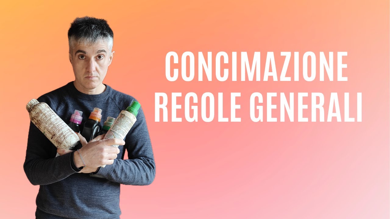 COME CONCIMARE un BONSAI, regole generali