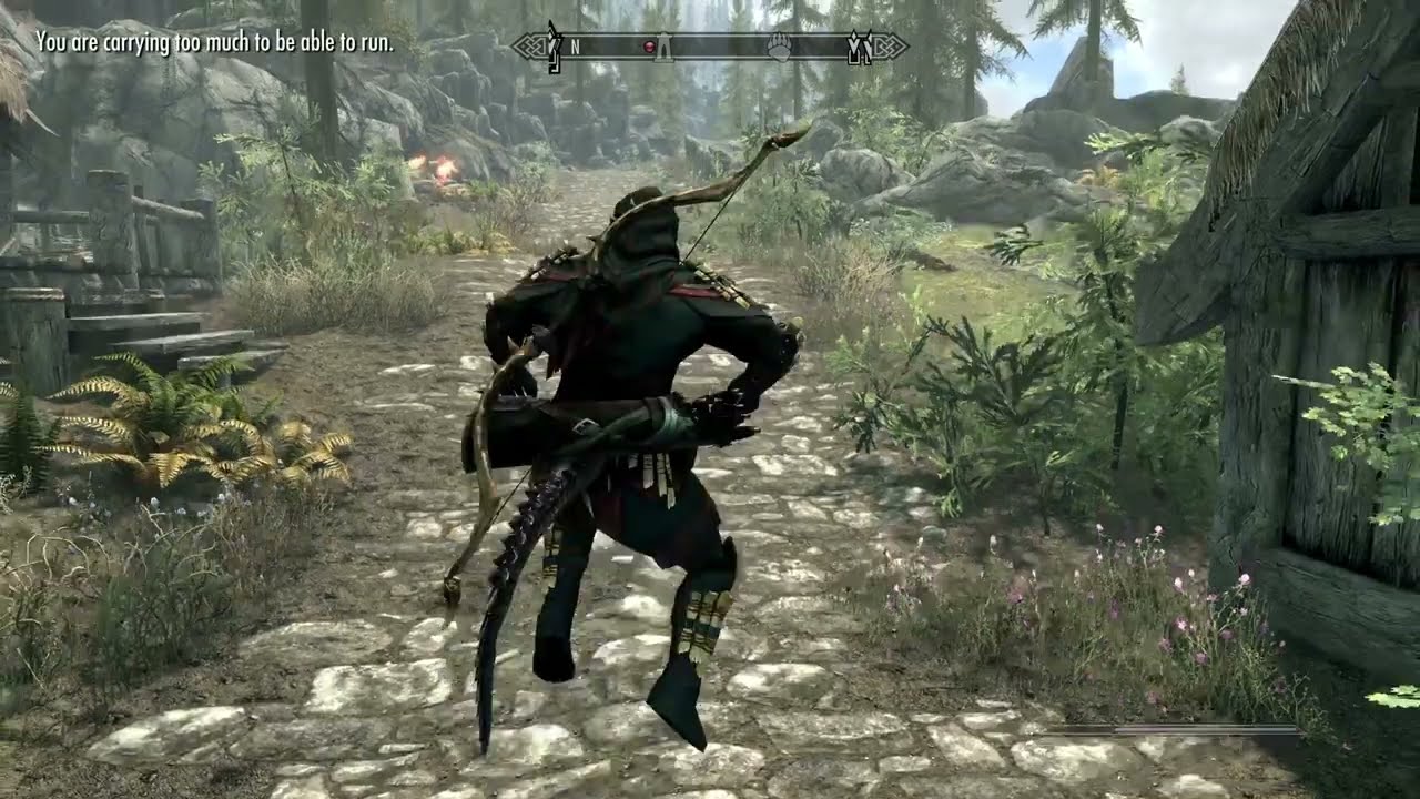 Skyrim: Acore the Argonian