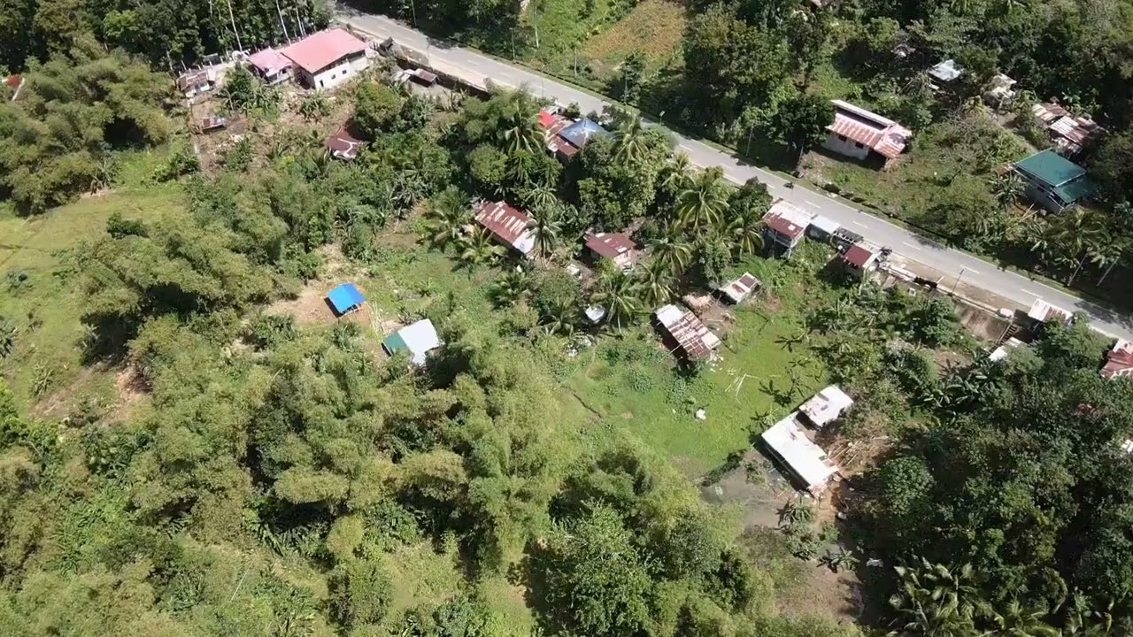 Drone shot of the house 
