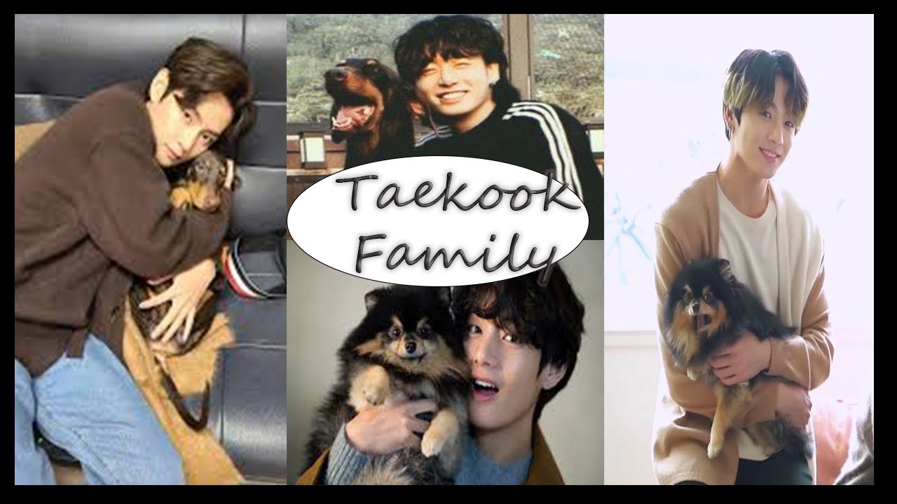 Meet Taehyung and Jungkook's babies, Kim Yeontan and Jeon Bam (Taekook compilation analysis)