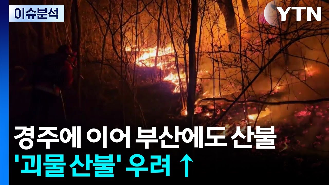 [뉴스UP] 경주에 이어 부산에도 산불...'괴물 산불' 우려 ↑ / YTN