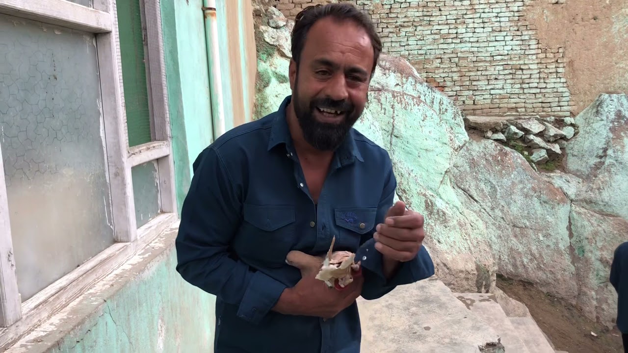 [] Ahmad Kabul Pigeons [] كفتر هاي خليفه احمد []