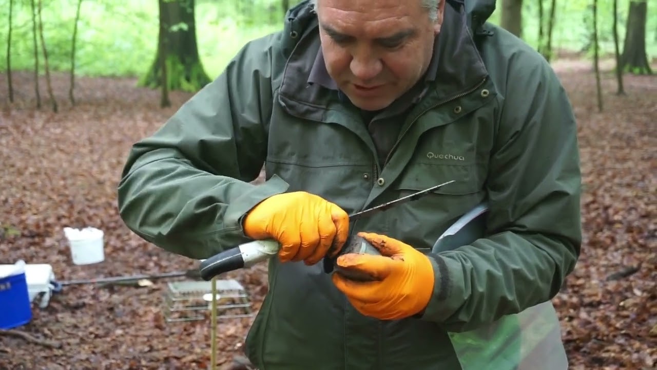 Taking undisturbed soil samples - WILDCARD project soil sampling - Video 2/5